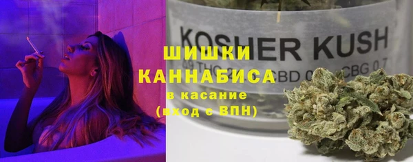 стаф Богородицк