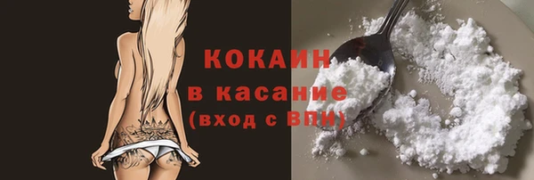 стаф Богородицк