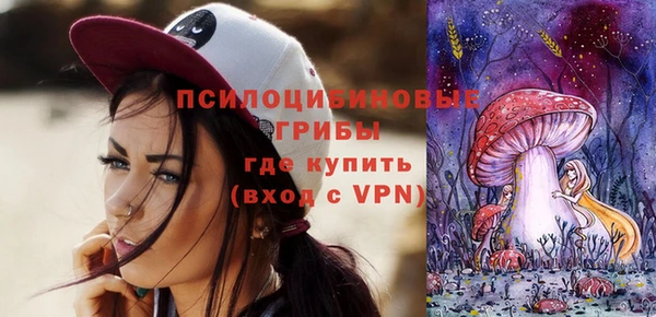 синтетический гашиш Богородск
