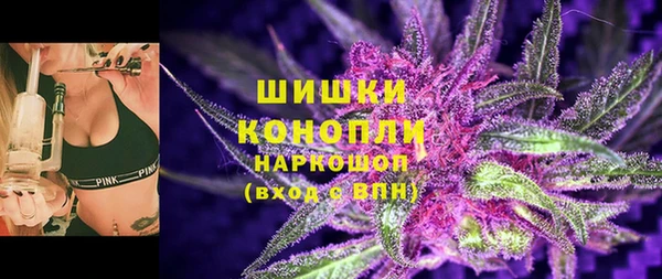 стаф Богородицк