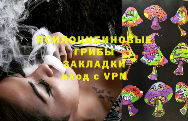 соль ск Богданович