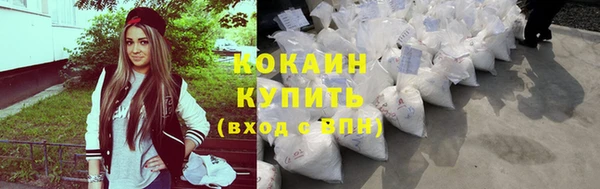 соль ск Богданович