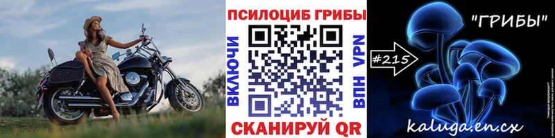 нарко площадка Telegram  где купить наркоту  omg маркетплейс  Городовиковск  Псилоцибиновые грибы MAGIC MUSHROOMS 
